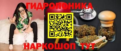 spice Усинск