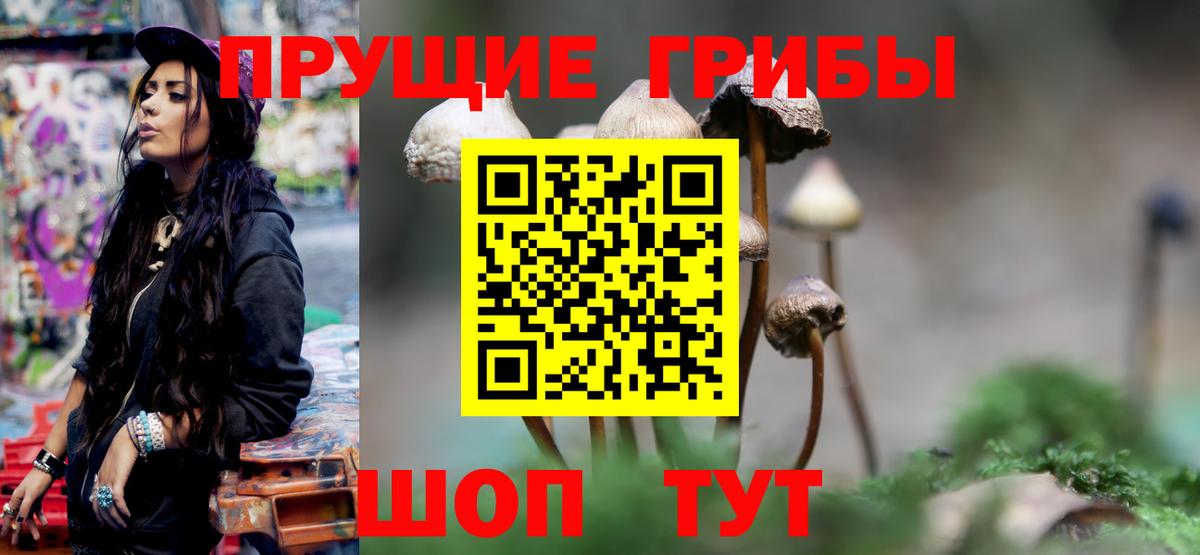 Галлюциногенные грибы GOLDEN TEACHER  Вход с VPN  Ахтубинск  Галлюциногенные грибы ЛСД 